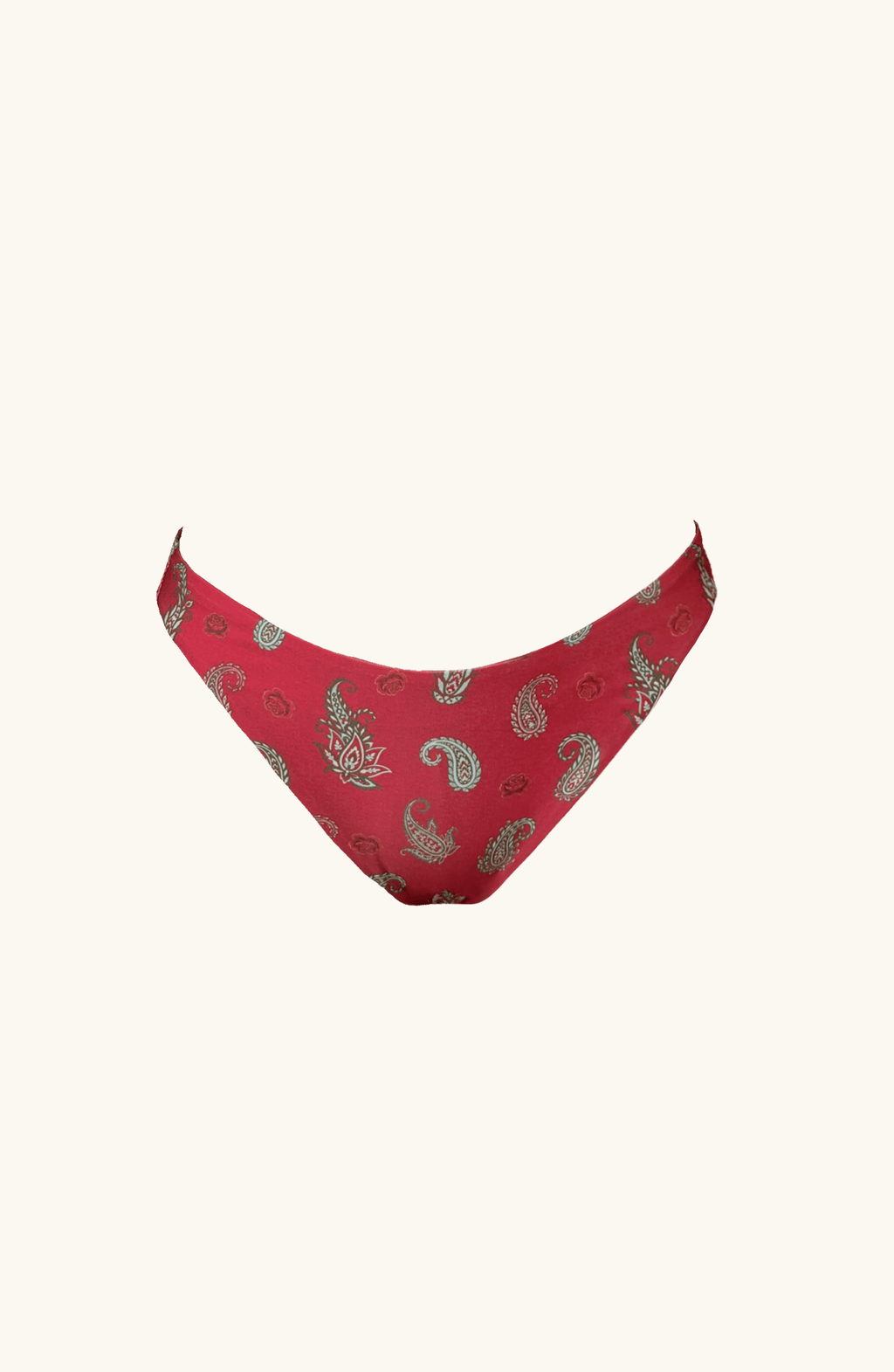 Panty de Bikini Paisley, Colección ODISEA - Bari, los mejores trajes de baño y Bikinis. Diseño y tecnología juntos.